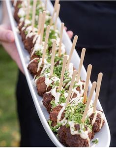 a person holding a platter with food on it and toothpicks in the middle