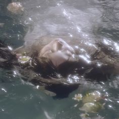 a woman floating in the water with her head above the water's surface, surrounded by flowers