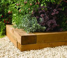 a wooden planter filled with lots of plants