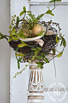 a bird's nest with an egg in it on top of a table next to some plants