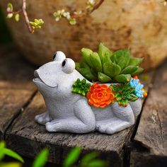 a ceramic dog planter with succulents and flowers sitting on a wooden table