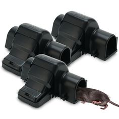 a rat crawling out of a set of black plastic bins on top of each other