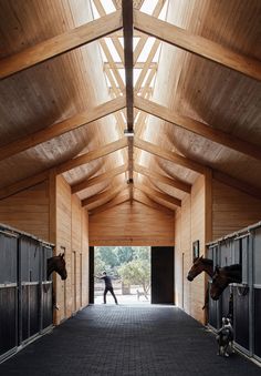 a person walking through an open building with horses