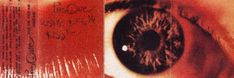 an eye is shown with red and black writing on the bottom half of its iris