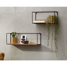 two metal shelves with plants and books on them