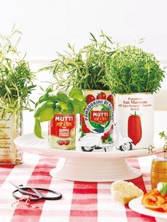 there are some herbs on the table and two cans of mutti mozzarella