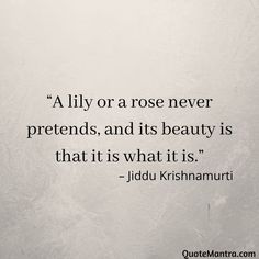 a quote on the wall that says, lily or a rose never pretends, and its beauty is that it is what it is