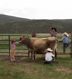 three people standing in front of a fence petting a cow on the other side