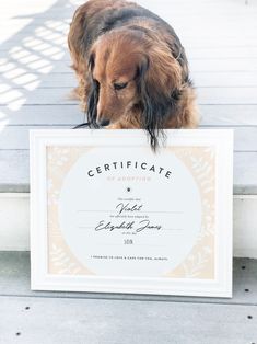 a dog is holding up a certificate for his owner's service to the photographer