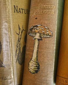 three books are stacked on top of each other, one has a mushroom on it