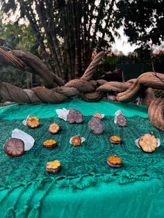 the table is covered with green cloth and shells