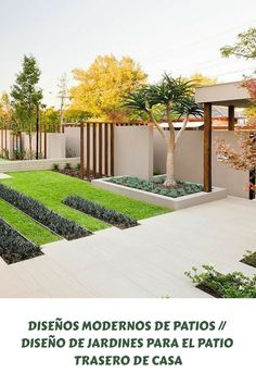 Modern Patio Designs//Back Yard Landscaping Garden Designs For Home Grass Seed Types, Diy Landscaping Ideas, Amazing Landscaping Ideas, Planting Grass, Cheap Plants, Modern Patio Design, Landscaping Diy, Types Of Grass, Artificial Lawn