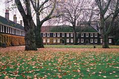 leaves on the ground in front of an old building with trees and bushes surrounding it