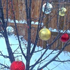 a tree with ornaments hanging from it in the snow