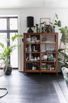 a living room filled with lots of plants and furniture