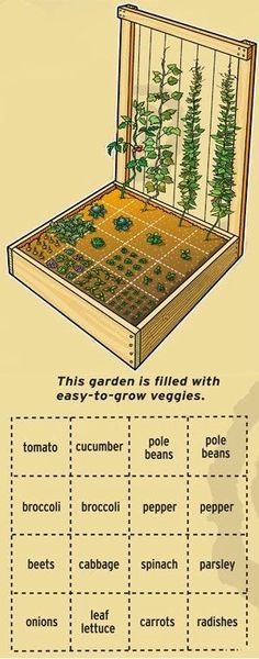 Are you ready to plant your gardenbut am unsure of how to lay it outHere's a collection of vegetable garden plans and layout to inspire you. Backyard Vegetable Garden, Funny Vine, Grow Vegetables, Backyard Vegetable Gardens, Garden Plans, Creative Gardening