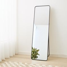 a large mirror sitting on top of a wooden floor next to a potted plant