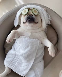 a dog laying in a bath tub with cucumbers on it's head