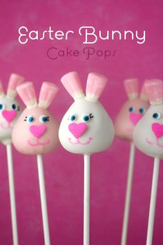 four cake pops with bunny faces on them