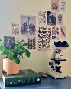 a microscope and some books on a blue table with pictures above it that have been placed on the wall