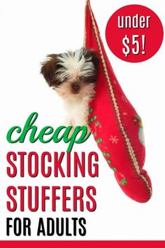 a small dog in a stocking stuff bag with the text under $ 5