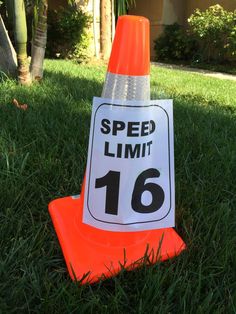 an orange traffic cone sitting in the grass next to a sign that says speed limit