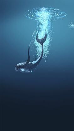 two dolphins swimming in the ocean with their tails sticking out from the water's surface