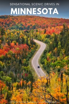 a road surrounded by trees with the words minnesota written in white on it and an image of