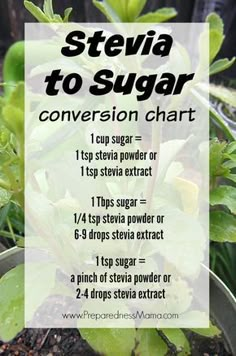 a close up of a plant with the words stevia to sugar written below it