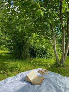 an open book sitting on top of a blanket next to a tree in the grass