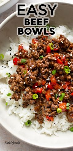 an easy beef bowl with white rice and green onions on the side is ready to be eaten