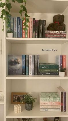 a book shelf filled with lots of books next to a potted plant and stuffed animal