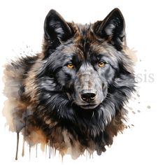 a painting of a wolf's face with orange eyes and black fur, on a white background