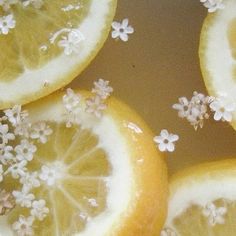 four lemons with white flowers on them