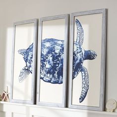 three framed pictures with sea turtles on them hanging above a fireplace mantel in a living room