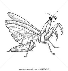 a drawing of a praying bug on a white background