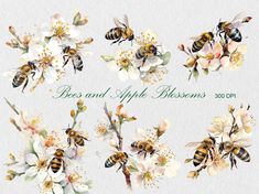 bees and apple blossoms watercolor clipart