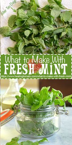 what to make with fresh mint