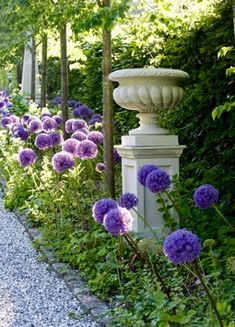 purple flowers are growing along the side of a road in front of trees and bushes