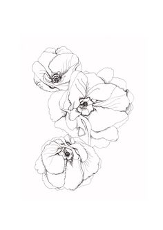 three flowers are shown in black and white, with one flower on the left side