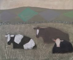 two cows laying down in the grass