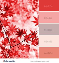 the color palette is red, white and grey with some green leaves on it's branches