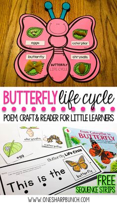 butterfly life cycle craft and printables for kids to use in the classroom or at home