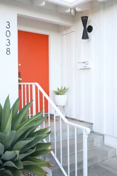 an orange door and white stairs leading up to a house with a plant in the foreground