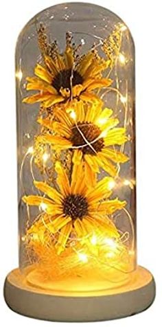 sunflowers under a glass dome with fairy lights on the bottom and below it