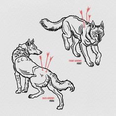 an image of how to draw a wolf