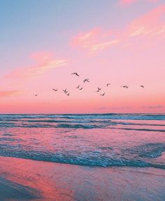 a flock of birds flying over the ocean at sunset with pink and blue sky in the background