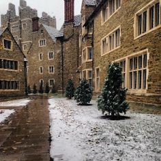 snow covers the ground in front of some old brick buildings with trees on each side