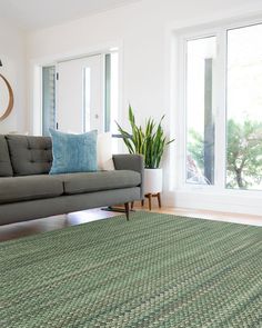 a living room with a gray couch and green rug