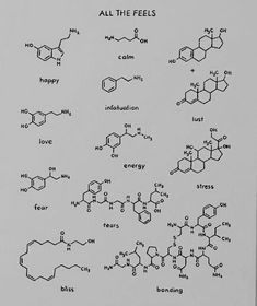 an image of the chemical formulas for all the feels